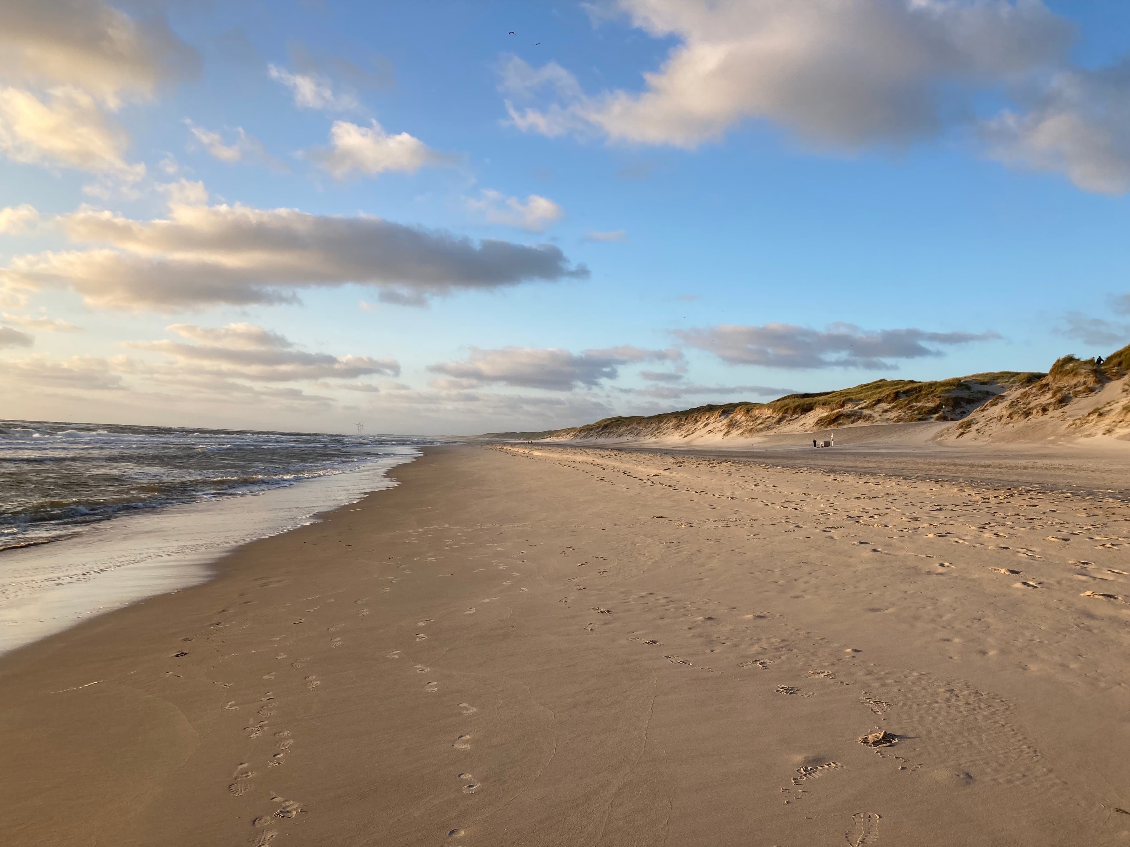 Photo by Thorsten Schminkel